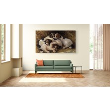 MonoStella Köpek Resimi- Kanvas Tablo