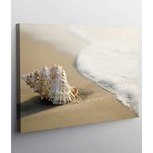 Stella Store Deniz Kabuğu Kanvas Tablo