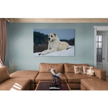 Stella Store Köpek Resimi- Kanvas Tablo