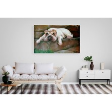 Stella Store Köpek Resimi- Kanvas Tablo