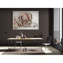 Stella Store Köpek Resimi- Kanvas Tablo
