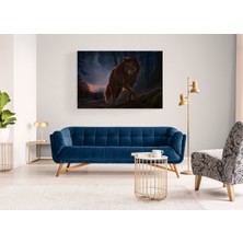 Stella Store Kurt Resmi Kanvas Tablo