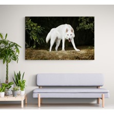 Stella Store Kurt Resmi Kanvas Tablo