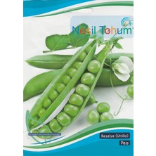 Nesil Tohum - Bezelye (Utrillo) 25 Gram