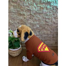 Buddy Store Kedi Köpek Kıyafeti & Elbisesi Uzun Kollu Model Kahverengi Superdog Kaşkorse
