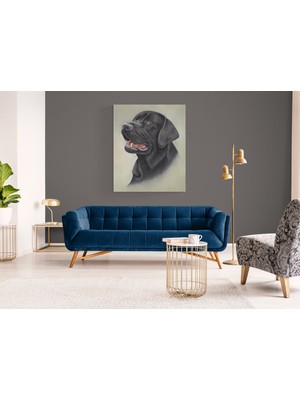 Stella Store Köpek Resimi- Kanvas Tablo