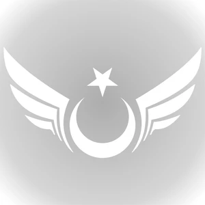 Quart Aksesuar Kanatlı Ay Yıldız Sticker Oto Araba Sticker Cam Sticker