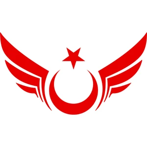 Quart Aksesuar Kanatlı Ay Yıldız Sticker Oto Araba Sticker Cam Sticker