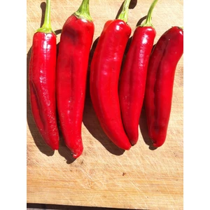 Agrodal Tarım Doğal Acı Maraş Biberi Tohumu 100 Adet Tohum