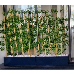 Yapay Bambu Ağacı 2 Adet Saksılı 1.5 Metre Boyunda Bambu Ağaç Gri Antrasit Saksılarda
