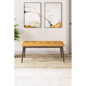 Concept Canisa Pera Serisi Bench Gürgen Tam Isleket Kumaş