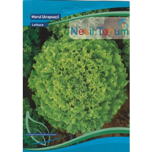 Nesil Tohum - Kıvırcık Marul Tohumu (Arapsaçı) 5 Gram