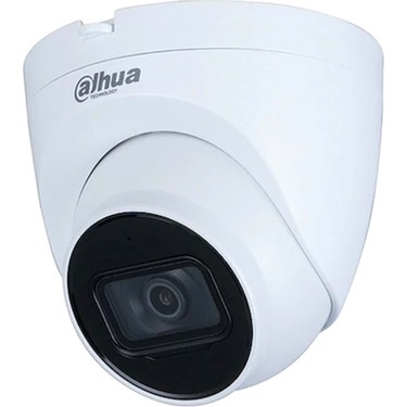 dahua eyeball camera