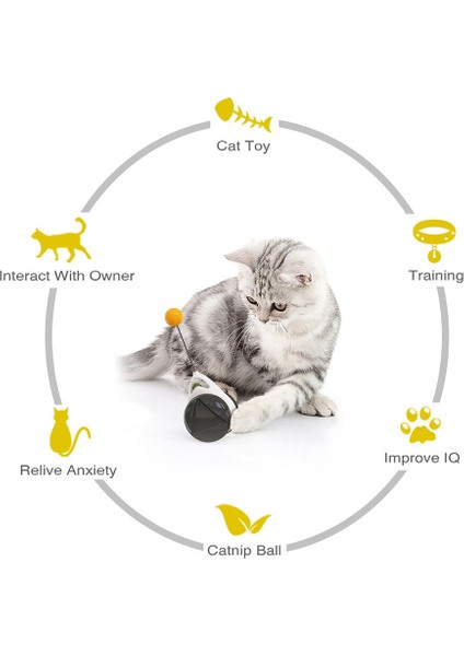 Eğlenceli Evcil Hayvanlar Denge Salıncak Araba Kedi Oyuncak Eğlence Oyuncakları Kedi Oyuncaklarının Dikkatini Çekiyor Komik Kedi Oyuncakları Kedi Malzemeleri (Yurt Dışından)