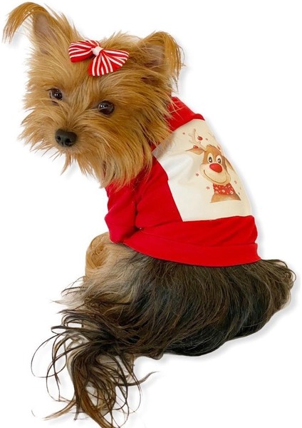 Cute Rudolph Köpek Tişörtü fiyatları