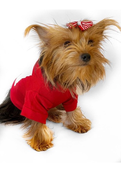 Cute Rudolph Köpek Tişörtü modelleri