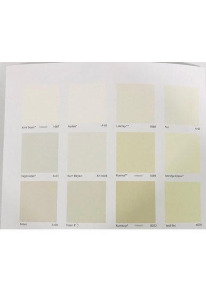 Plastik Iç Cephe Boyası 20 kg modelleri