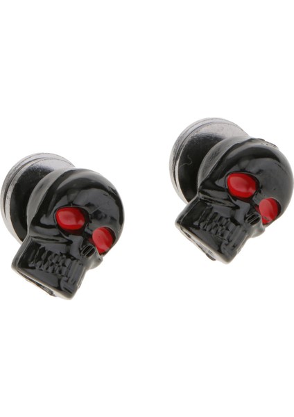 Çift Siyah Kafatası Motosiklet Plaka Çerçeve Cıvata Cam Tag Vidalar (Yurt Dışından)