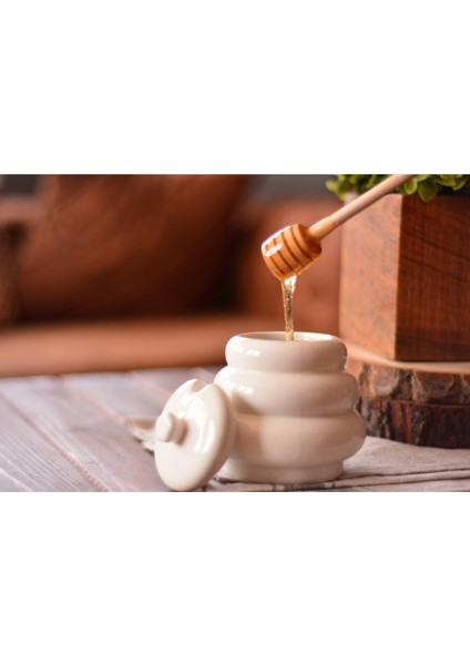Honey Bal Saklama Kabı modelleri