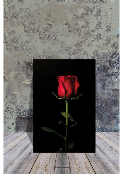 Mdf Tablo Kırmızı Gül 20X30