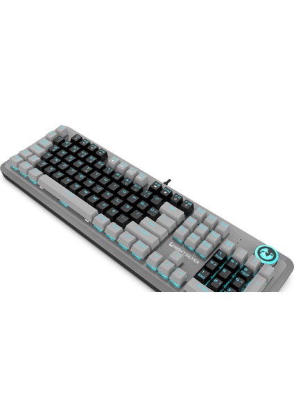 Astra Blue Mavi Switch Çift Renk Gaming Mekanik Oyuncu Klavyesi fiyatları