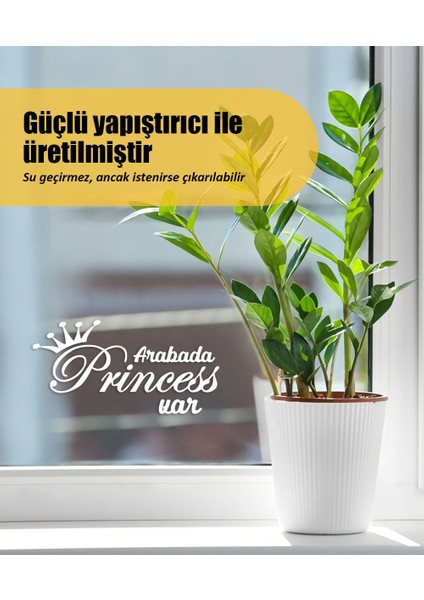 | Arabada Princess Var | Araba Laptop Duvar Folyo Sticker 25 x 12,5 cm fırsatları