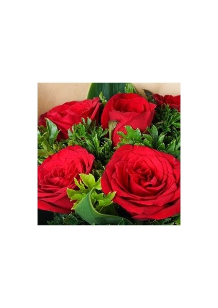 - Sevdicek - 6 Kırmızı Gül Buketi - Aranjman Kesme Canlı Çiçek fiyatları