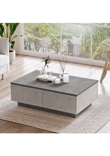 Locci Concept Owen Orta Sehpa 2 Kapaklı Beton-Taş OW17-GT