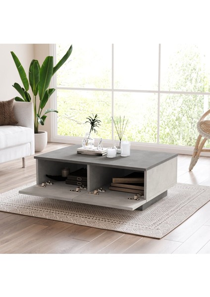 Locci Concept Owen Orta Sehpa 2 Kapaklı Beton-Taş OW17-GT