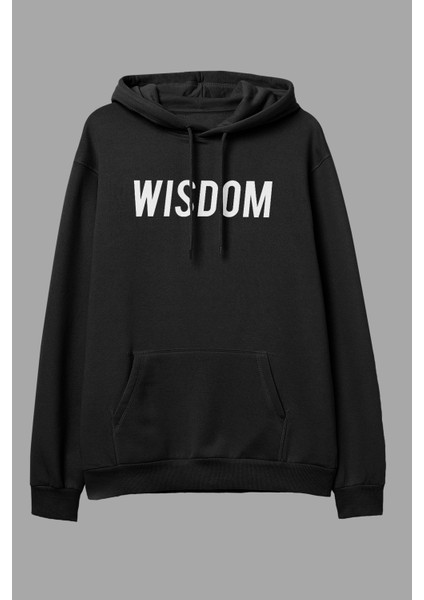 Wisdom Oversize Hoodie fiyatları