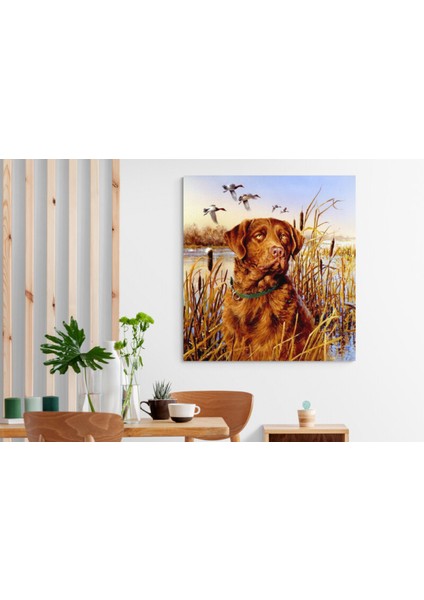 Köpek Resimi- Kanvas Tablo