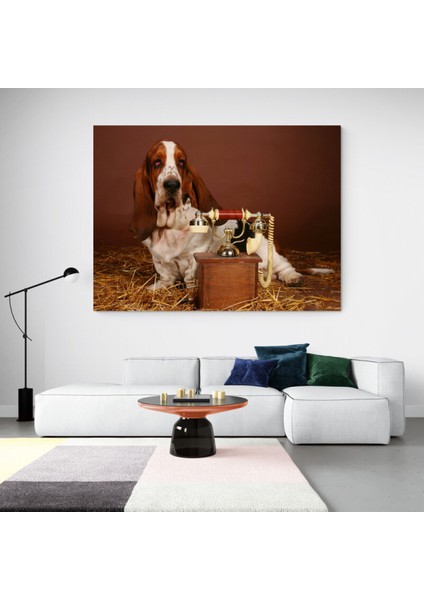 Köpek Resimi- Kanvas Tablo