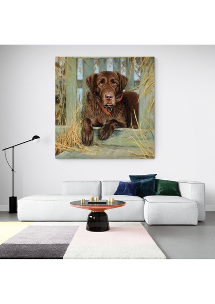 Köpek Resimi- Kanvas Tablo