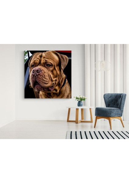 Köpek Resimi- Kanvas Tablo fırsatları