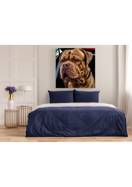 Köpek Resimi- Kanvas Tablo