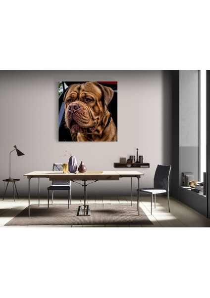 Köpek Resimi- Kanvas Tablo fiyatları