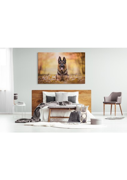 Köpek Resimi- Kanvas Tablo