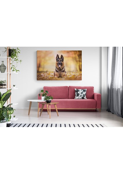 Köpek Resimi- Kanvas Tablo