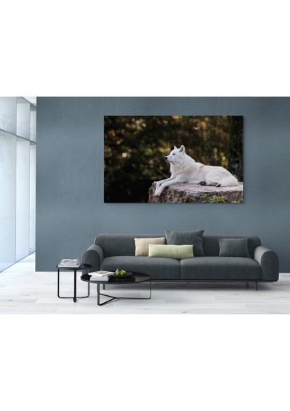 Kurt Resmi Kanvas Tablo