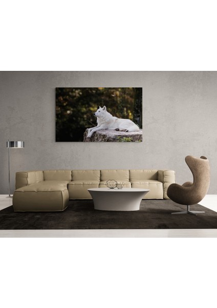 Kurt Resmi Kanvas Tablo fiyatları