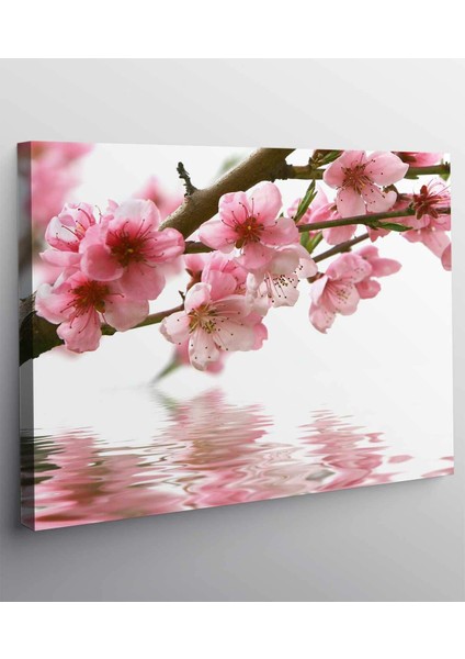 Badem Ağacı Kanvas Tablo fiyatları