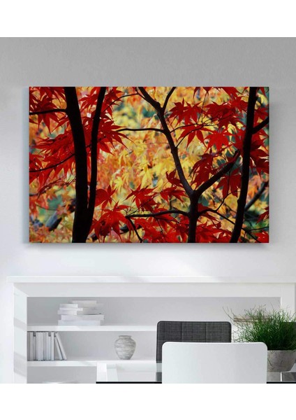 Sonbahar Renkleri Kanvas Tablo