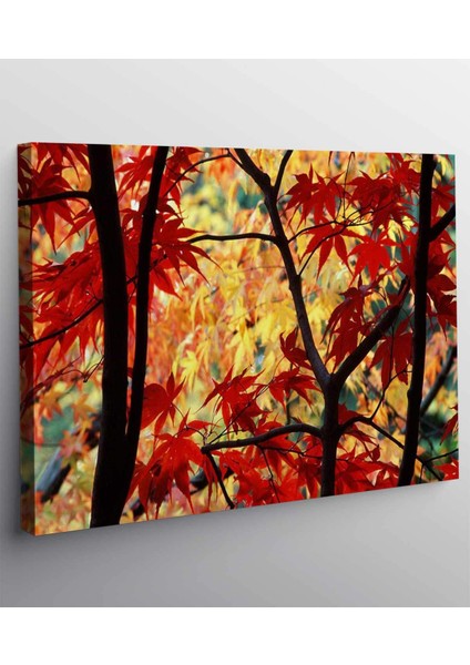 Sonbahar Renkleri Kanvas Tablo fiyatları