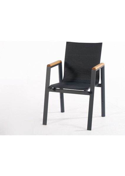 Divona Home Bg Poseidon Sandalye fiyatları