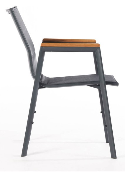 Divona Home Bg Poseidon Sandalye indirimleri