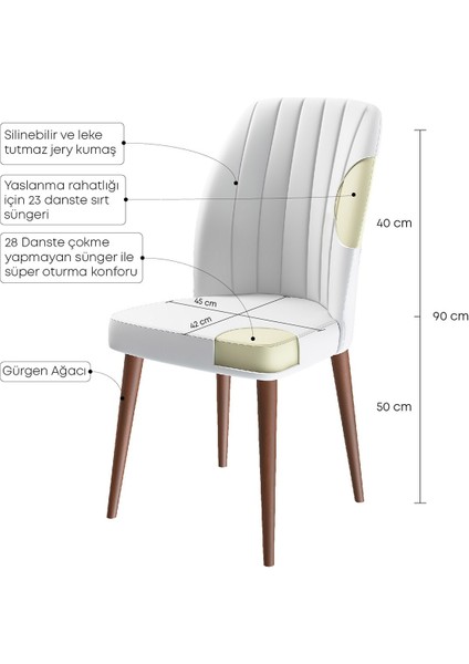 Concept Canisa Etra Serisi Gürgen Ayaklı 1.sınıf Sandalye , 6 Adet , Ayaklar Ceviz