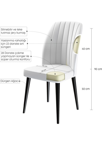 Concept Canisa Etra Serisi Gürgen Ayaklı 1.sınıf Sandalye , 6 Adet , Ayaklar Siyah