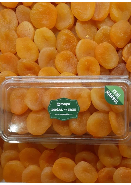 Magro Propatis Magro Jumbo Sarı Kayısı 750 gr Yeni Mahsul