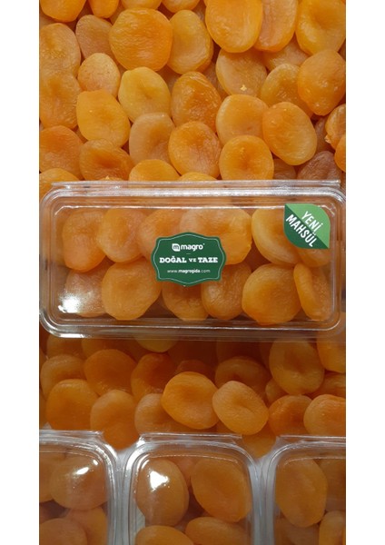 Magro Jumbo Sarı Kayısı 750 gr Yeni Mahsul