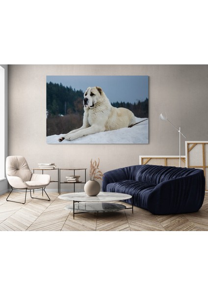 Köpek Resimi- Kanvas Tablo modelleri
